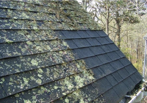 Soft Washing for Tile Roofs: The Ultimate Guide
